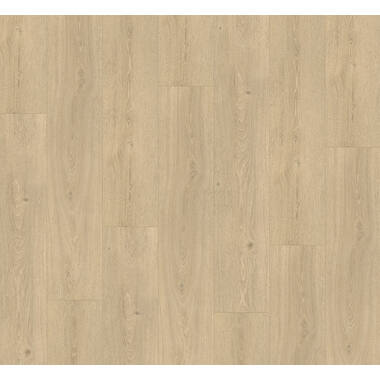 Parador Basic 5.3